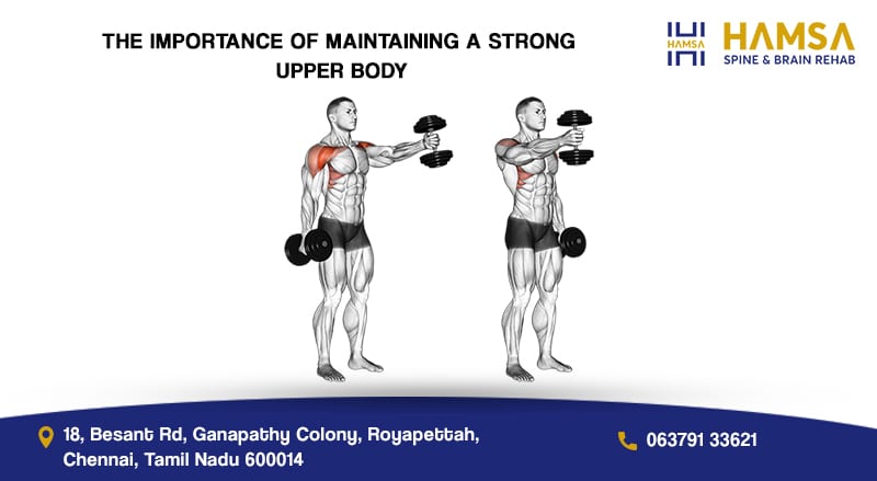 Clip art image of two people doing standing dumbbell exercises